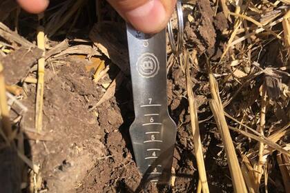 Ayer, en el sudeste cordobés, sobre un lote de rastrojo de trigo, el asesor Juan Pablo Ioele midió la humedad para ver si se iniciaba la siembra de soja. El resultado fue negativo