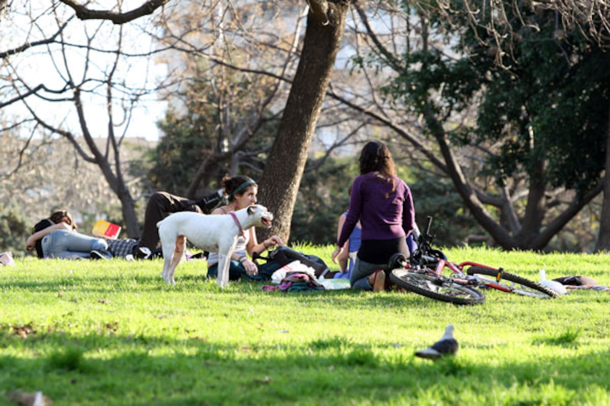 Ayer, en una jornada primaveral, el parque Las Heras fue visitado por vecinos y muchos perros