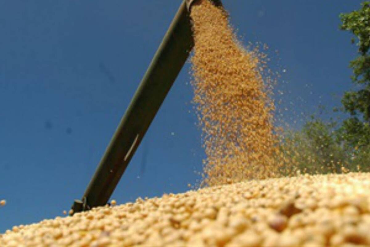 Ayer perdió un 1,87%, al pasar de US$328,12 a 321,97; el coronavirus acentuó la fragilidad del mercado