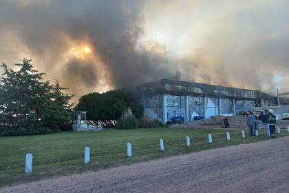 Ayer, una chispa de un soldador fue la causa de un terrible incendio en la fábrica láctea Aurora, en 9 de Julio, provincia de Buenos Aires
