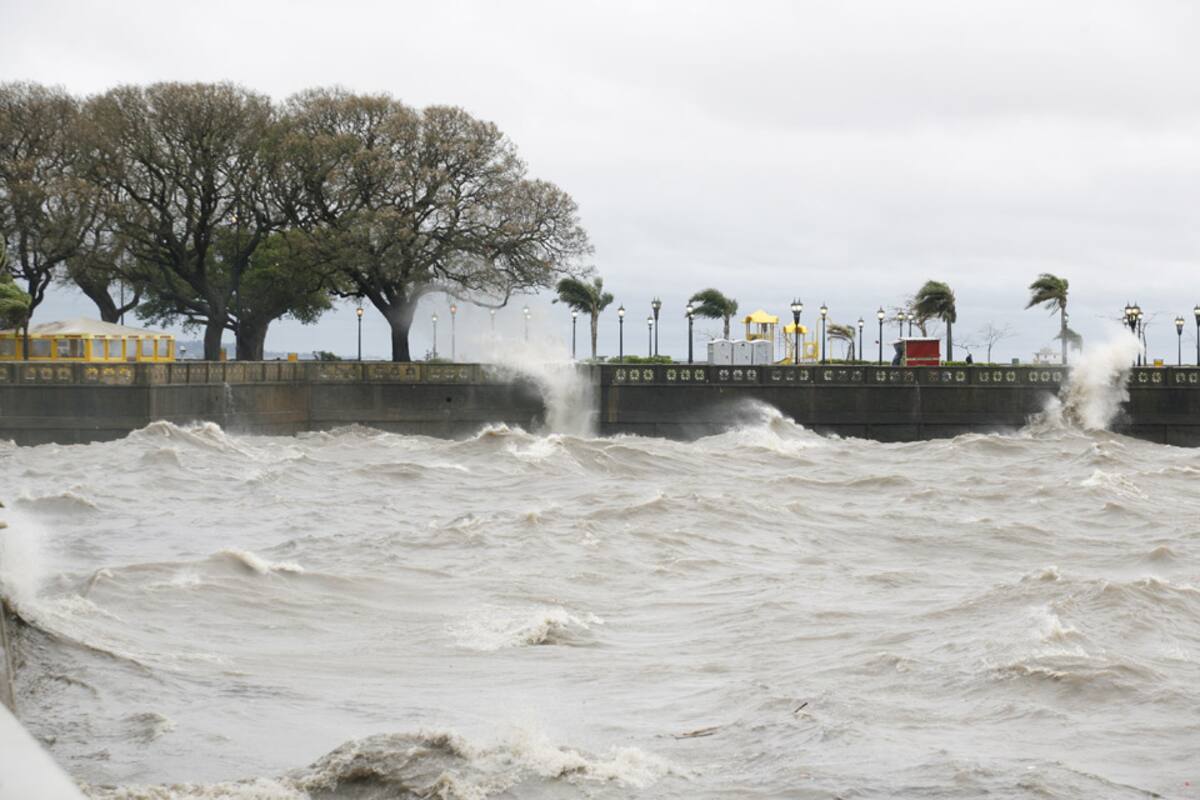 Ayer, viento y lluvia en la Costanera de la Ciudad de Buenos Aires