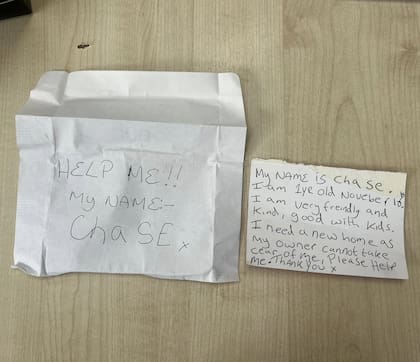 ."Ayúdame, mi nombre es Chase"