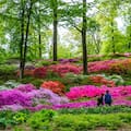 La historia detrás de los siete jardines botánicos que conservan el futuro de las plantas del planeta
