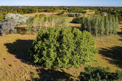 La naturaleza es considerada el nuevo lujo