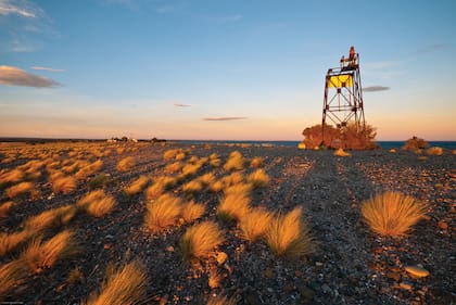 Bahía Bustamante forma parte del Parque Nacional marino llamado Patagonia Austral y la reserva de la Biosfera de la UNESCO Patagonia Azul.