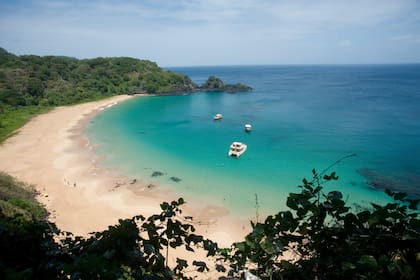 Baia do sancho, la playa más votada como la mejor por los viajeros del mundo