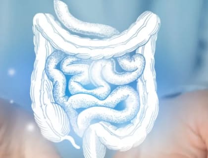 Bajar el colesterol ya es posible gracias a una investigación publicada por la Clínica Cleveland. Foto:iStock
