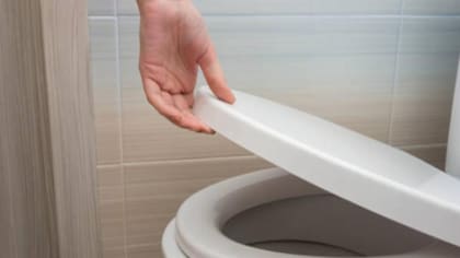 Bajar la tapa antes de hacer la descarga del inodoro es fundamental para que no se puedan elevar las partículas que chocan con la tapa (Foto: iStock)