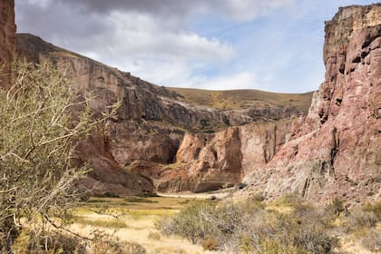 Bajo Caracoles, Parque Patagonia