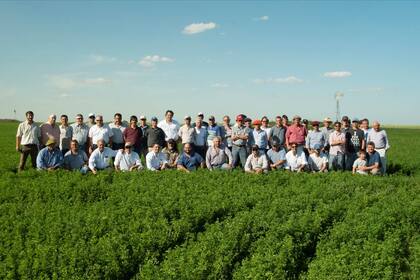Bajo el nombre de South West SA, la compañía Collazo y Asociados seguirá con las alfalfas Cal West en el país