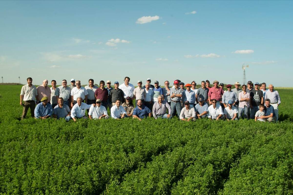 Bajo el nombre de South West SA, la compañía Collazo y Asociados seguirá con las alfalfas Cal West en el país