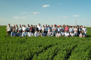 Bajo el nombre de South West SA, la compañía Collazo y Asociados seguirá con las alfalfas Cal West en el país