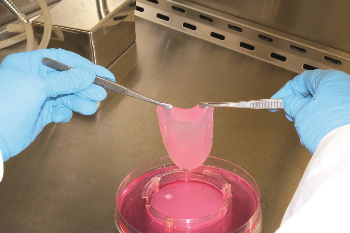 Bajo la premisa de “Comé carne, no animales”, utilizaron técnicas de cultivo para desarrollar un sustituto de la producción de carne tradicional