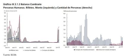 Balance cambiario de los ahorristas minoristas.
Fuente: BCRA
