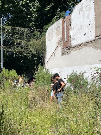 Baldío: Proyecto de investigación del Estudio Bulla en el que se observaron y relevaron especies espontáneas de un suelo liberado por una demolición en un típico lote entre medianeras, y se ensayaron estrategias de intervención de ese 'tercer paisaje'. Una de las incorporaciones 2024 al catálogo de Open House.
