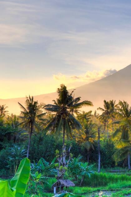 Bali es considerada la perla de Indonesia, la más famosa y más turística isla de ese país