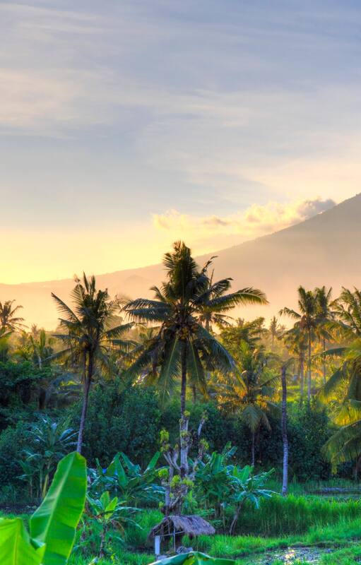 Bali es considerada la perla de Indonesia, la más famosa y más turística isla de ese país