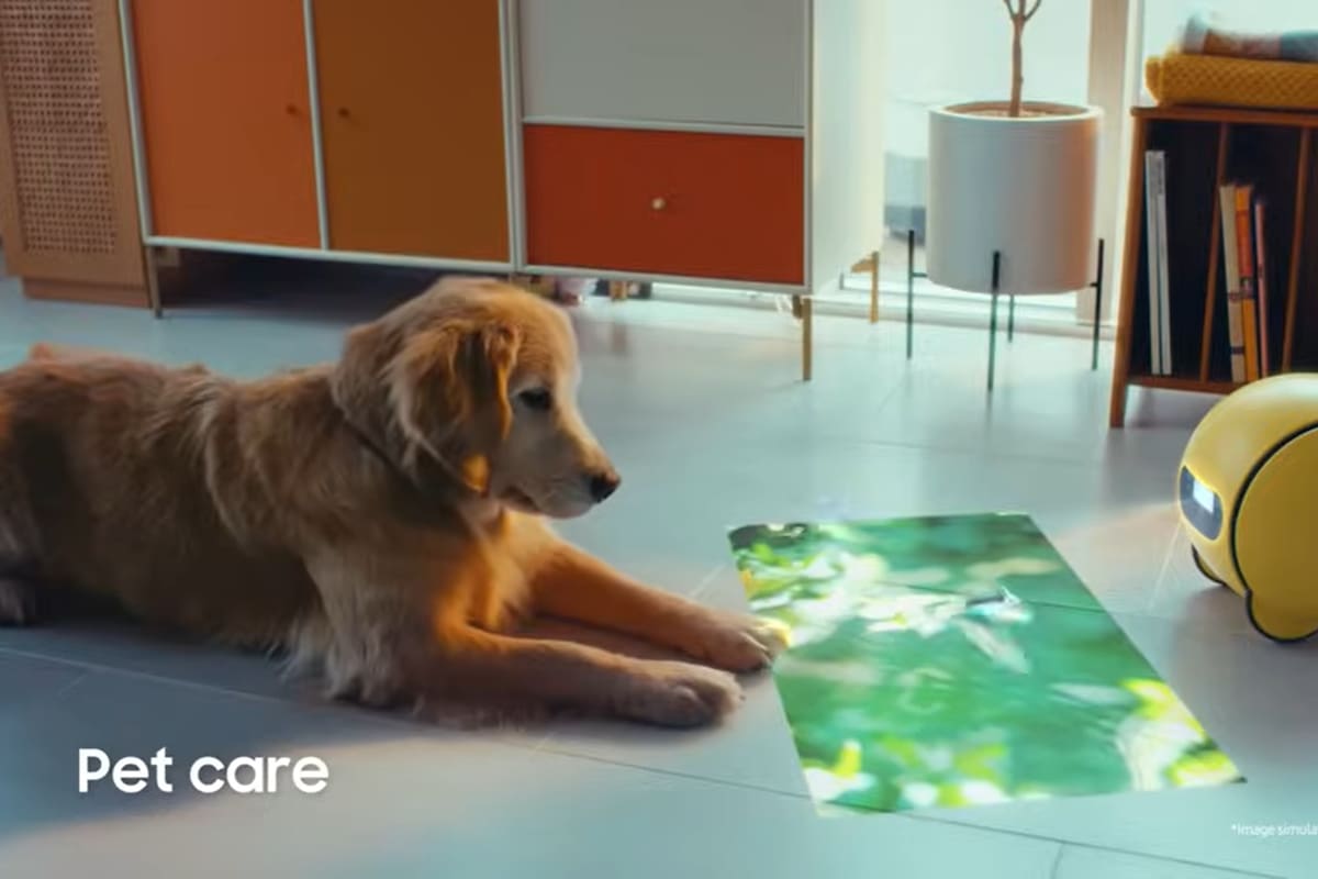 Ballie, el robot hogareño de Samsung, podrán entretener a la mascota cuando sus dueños no estén en casa