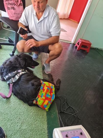 Bambi en su sesión de fisioterapia.
