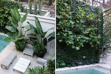 Izquierda: Vista cenital desde la terraza de las palmeras y buxus, reconociendo los cactus espiral, las tropimorfas Strelitzias nicolai, Schefflera elegantissima y Cordyline. Derecha: El muro completo del Epifitario que dialoga con el agua, emulando barrancas de un lago.