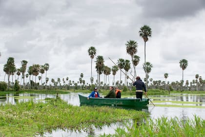 Bañado La Estrella, Formosa