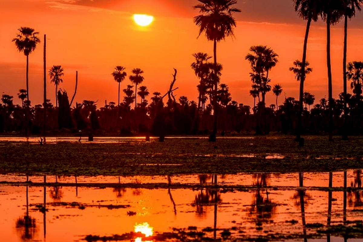 Bañado La estrella, Formosa