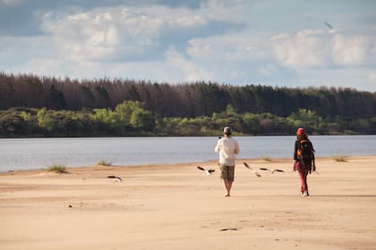 Banco Caraballo. Se llega en lancha y es refugio del rayador, un ave migratoria que viene a anidar a este lugar.