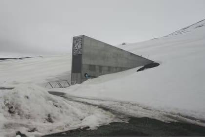 Banco Mundial de Semillas