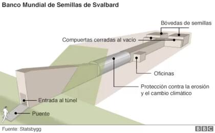 Banco Mundial de Semillas de Svalbard.