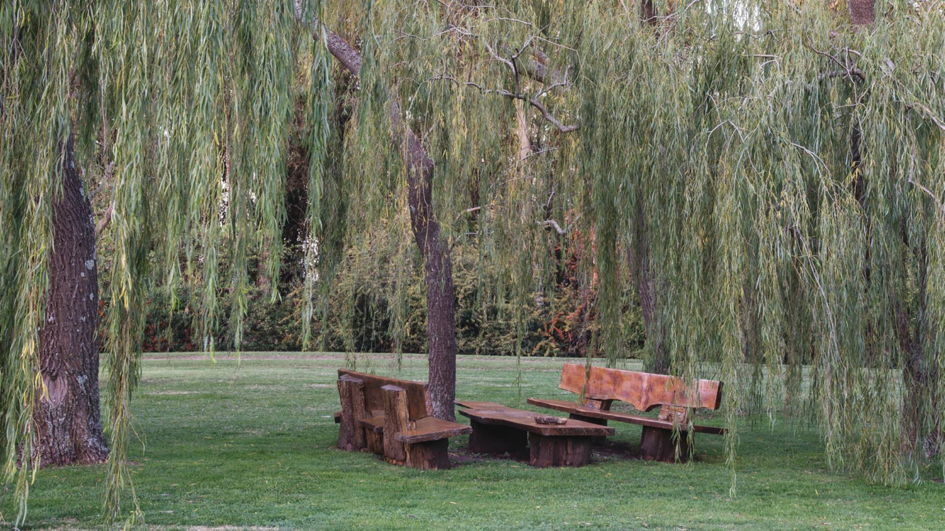 Living exterior en un jardín patagónico