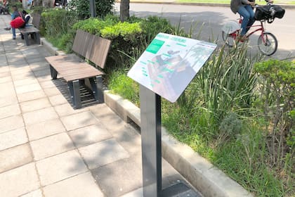 Banquetas verdes proyectadas por EET Estudio para el proyecto Latitud Polanco en Ciudad de México, que incorporan gestión de agua de lluvia sustentable ayudándola a infiltrar el suelo.