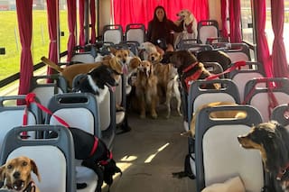 Organizó un campamento de perros y causó revuelo en las redes: “Es la primera vez que se hace en la Argentina”