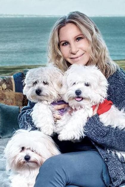 Barbra Streisand y sus perros clonados en 2018