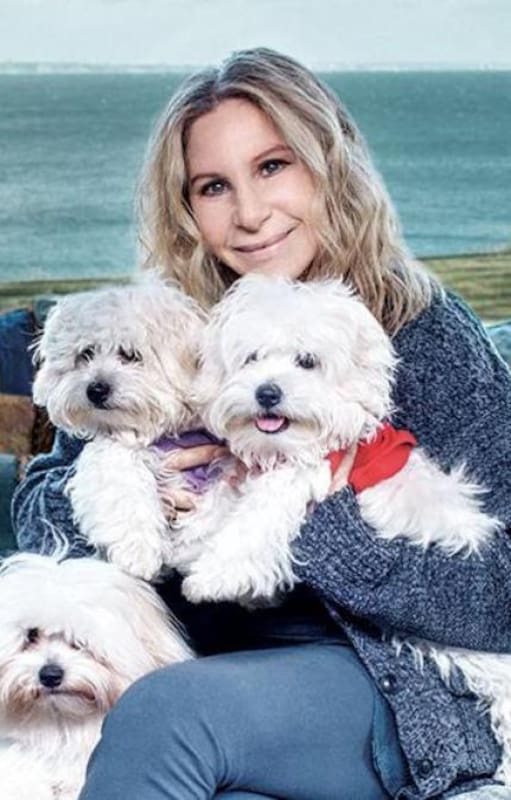 Barbra Streisand y sus perros clonados
