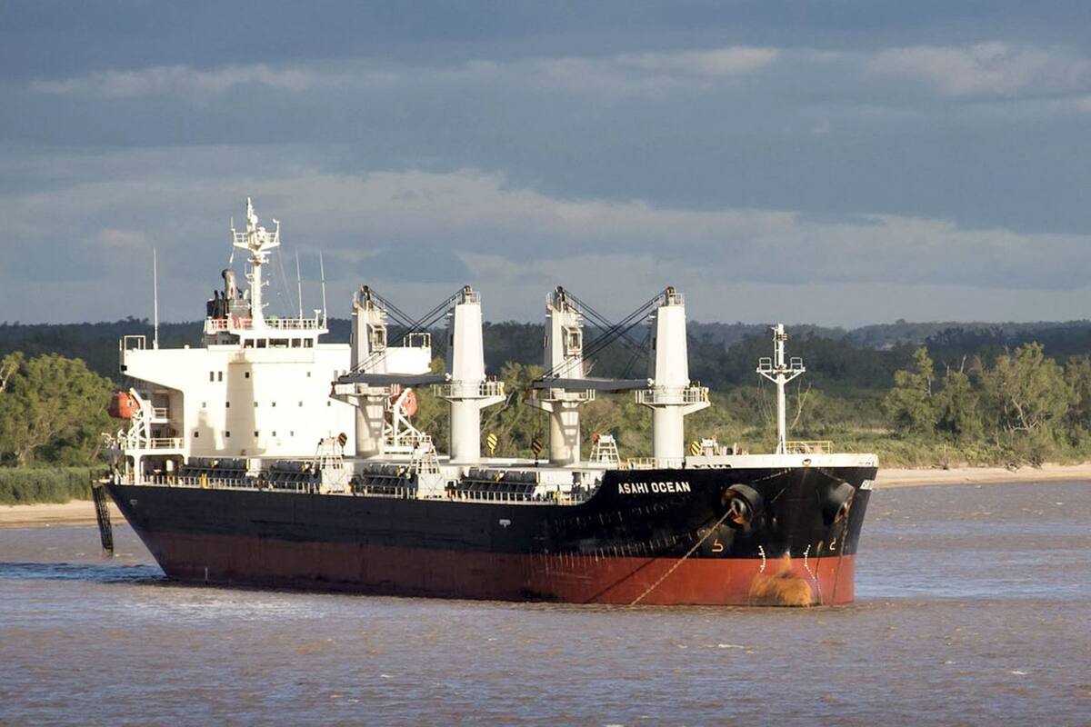 Barco cerealero en los puertos del gran Rosario. Zona de San Lorenzo Puerto San Martin