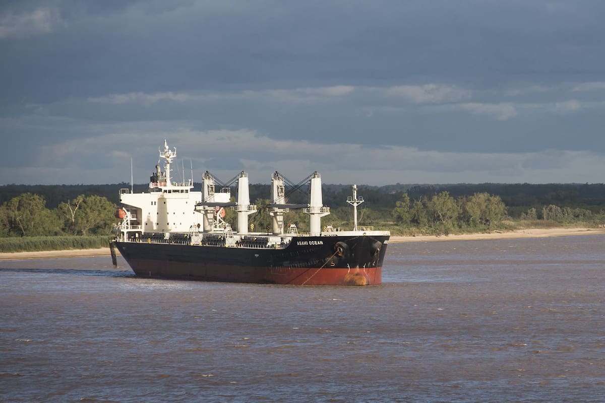 Barcos a la espera de cargar cereal en los puertos del gran Rosario.