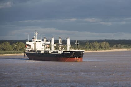 Barcos a la espera de cargar cereal en los puertos del gran Rosario.