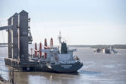 Barcos a la espera de cargar cereales en puertos de San Lorenzo, radas de Molinos y Vicentin.