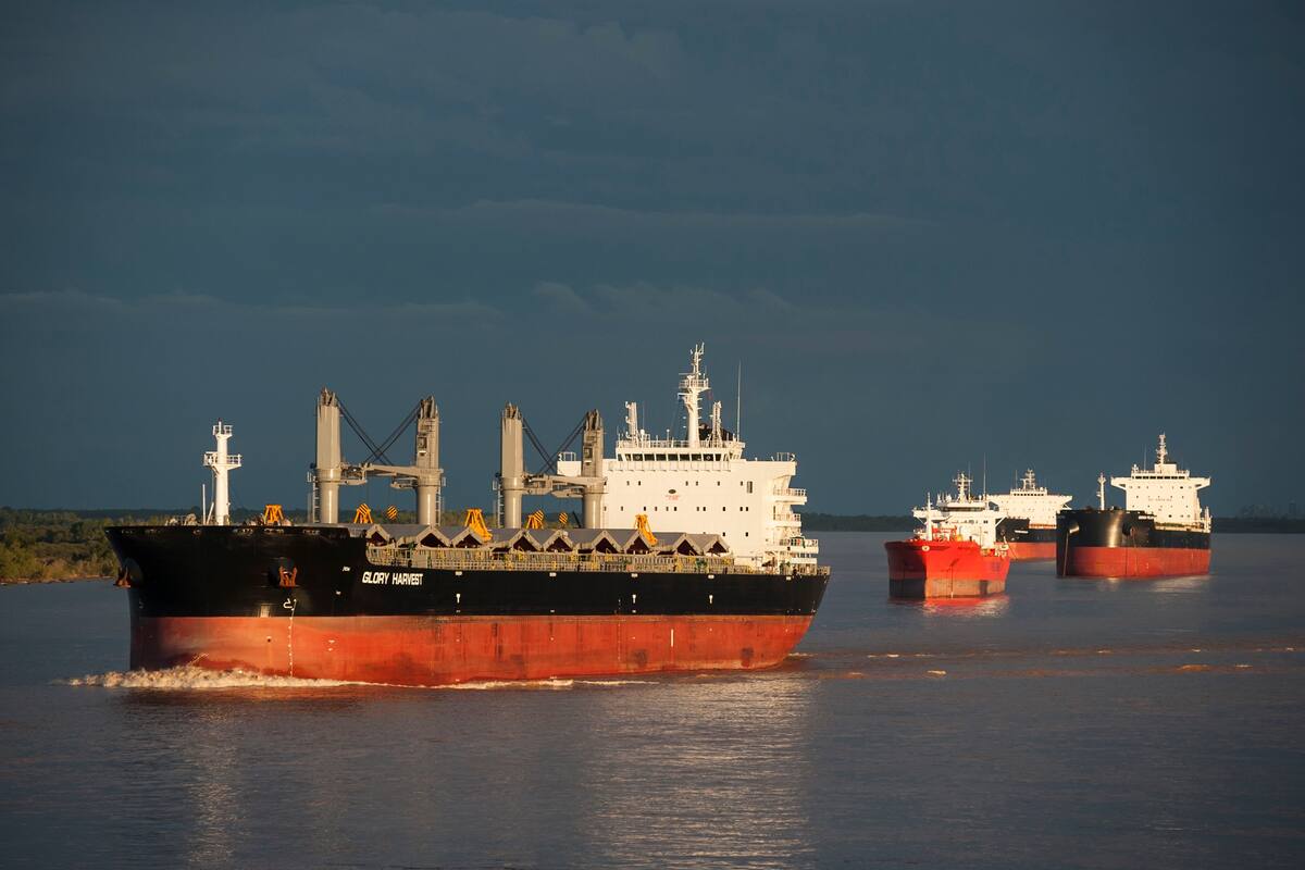 Barcos cerealeros en la zona de San Lorenzo y Pto. San Martin, al norte de Rosario.