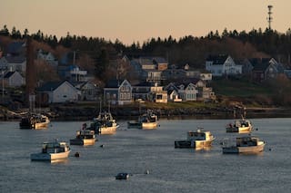 Corte Suprema de EEUU rechaza oír caso de pescador de langostas contra rastreo de barcos