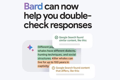 Bard, el chatbot inteligente de Google, permitirá validar sus afirmaciones mostrando la fuente de la que obtuvo determinado dato