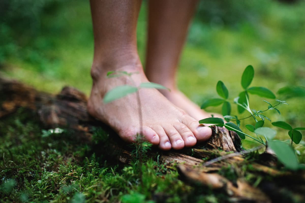 Bare feet of man standing barefoot outdoors in nature, grounding concept.
