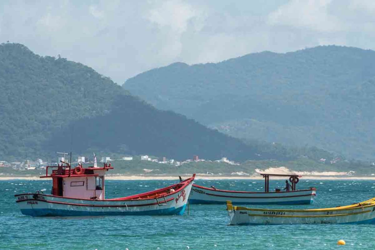 Barquitos frente a la Isla do Campeche.