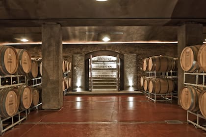 Barricas de la bodega.