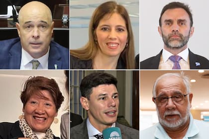 Bartolomé Abdala; Ivanna Arrascaeta; Ezequiel Atauche; Vilma Bedia; Bruno Olivera y Juan Carlos Pagotto, los seis senadores libertarios que apoyaron la emergencia en Bahía Blanca