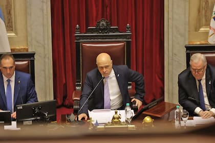 Bartolomé Abdala presidió la sesión en el comienzo