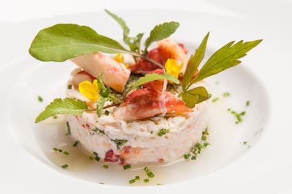 Base de vieiras marinadas con limón y oliva, y centolla al natural, con pimienta de canelo y salicornia disecada para salar.