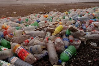 Pospandemia. La clave ambiental