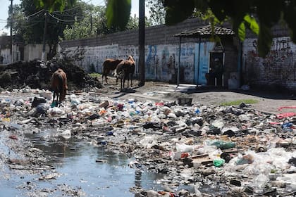Basura y grandes charcos de agua en el Barrio La Bombilla