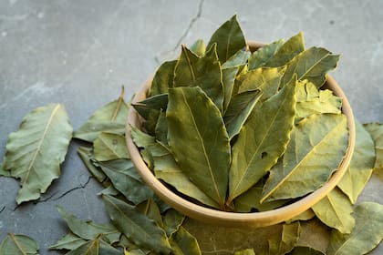 El laurel tiene tanto propiedades medicinales como espirituales